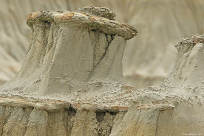 Rock-Formation-TRNP-0E8A7824.jpg