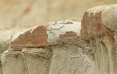 Rock-Formation-TRNP-0E8A7871.jpg