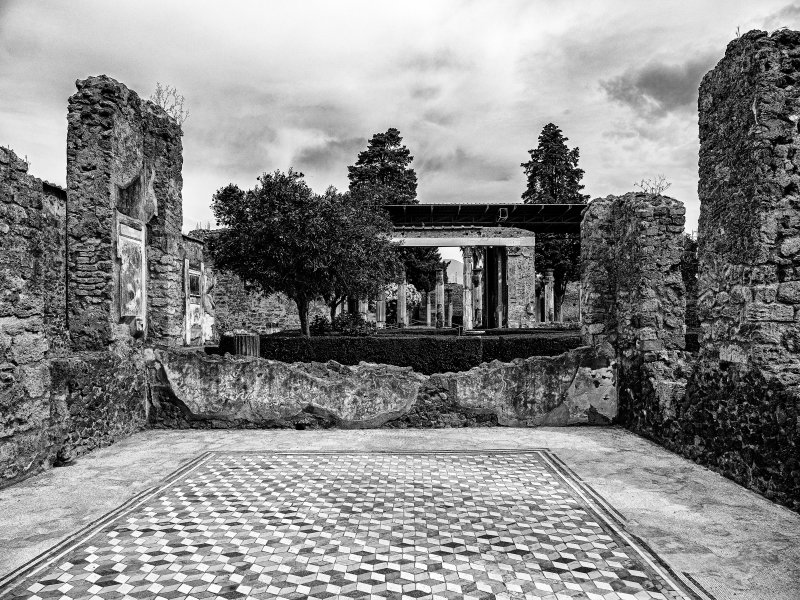 20210625_6028_bw copy.jpg
