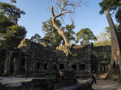 angkor ta prohm, cambodia