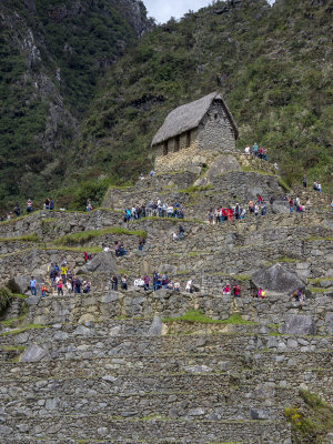 machu picchu, peru