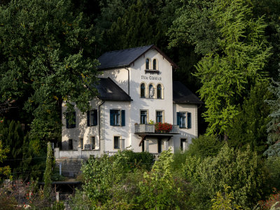 20190930_6469 copy.jpg