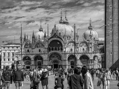 20191004_0673_bw copy.jpg