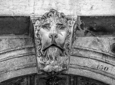 20191004_0698_bw copy.jpg
