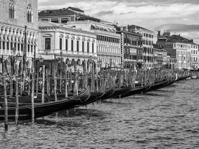 20191004_0958_bw copy.jpg