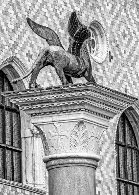 20191004_0998_bw copy.jpg