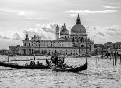 20191004_1063_bw copy.jpg