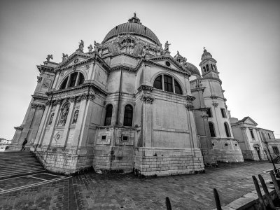 20191005_9018_bw copy.jpg
