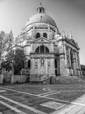 20191005_9368_bw copy.jpg