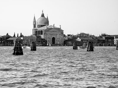 20191005_9449_bw copy.jpg