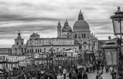 20191006_3612_bw copy.jpg