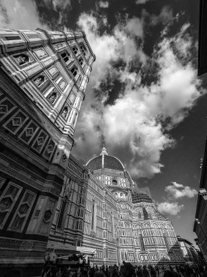 20191007_5145_bw copy.jpg