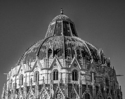 20191008_4563_bw copy.jpg