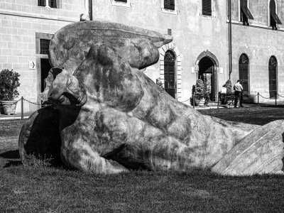 20191008_4600_bw copy.jpg