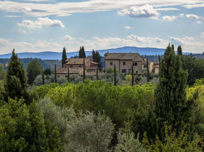 20191009_5553 copy.jpg