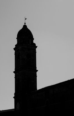 20191011_6883_bw copy.jpg
