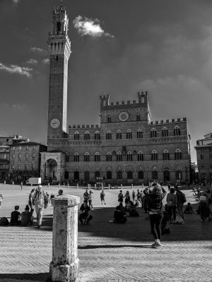 20191011_6948_bw copy.jpg