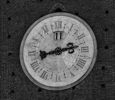 20191011_6960_bw copy.jpg