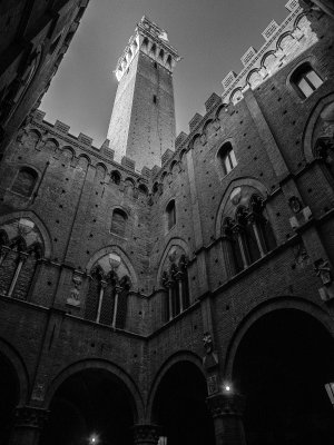 20191011_7007_bw copy.jpg