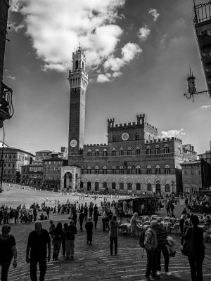 20191011_7089_bw copy.jpg