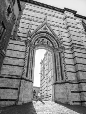 20191011_7222_bw copy.jpg