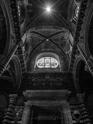 20191011_7446_bw copy.jpg