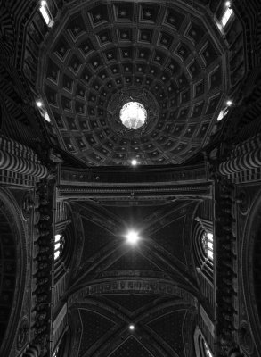 20191011_7448_bw copy.jpg