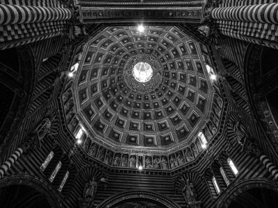 20191011_7517_bw copy.jpg