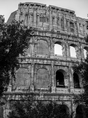 20191012_0350_bw copy.jpg