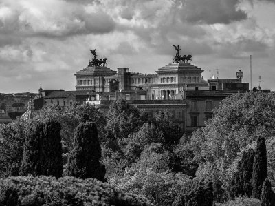 20191012_9846_bw copy.jpg