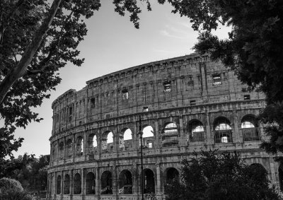 20191012_9865_bw copy.jpg