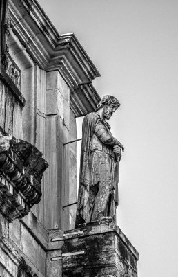 20191013_8106_bw copy.jpg