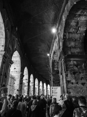 20191013_8213_bw copy.jpg