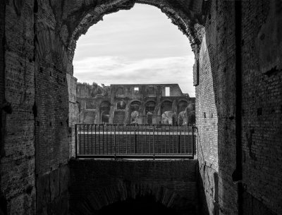 20191013_8231_bw copy.jpg