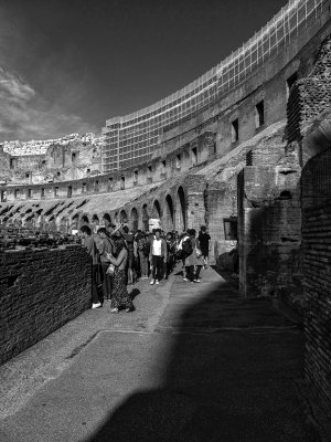 20191013_8276_bw copy.jpg