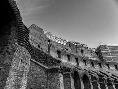 20191013_8436_bw copy.jpg