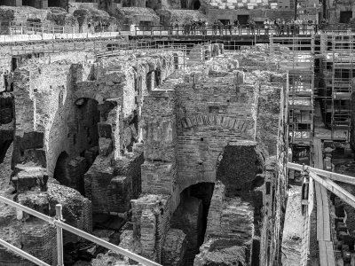 20191013_8494_bw copy.jpg