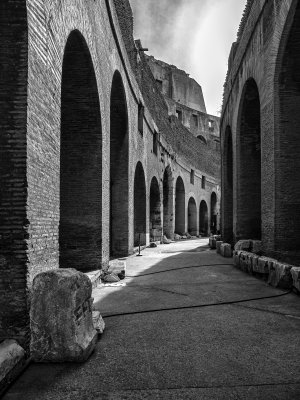 20191013_8541_bw copy.jpg