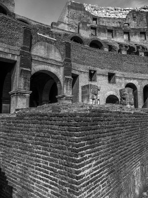 20191013_8638_bw copy.jpg