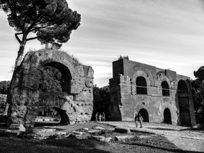 20191013_8699_bw copy.jpg