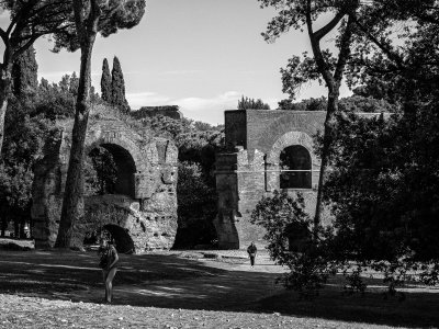 20191013_8712_bw copy.jpg