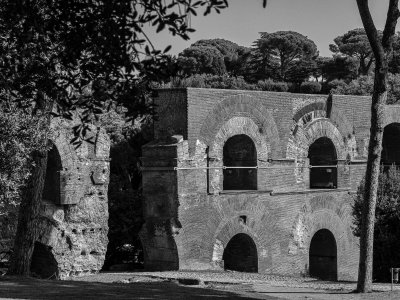 20191013_8722_bw copy.jpg