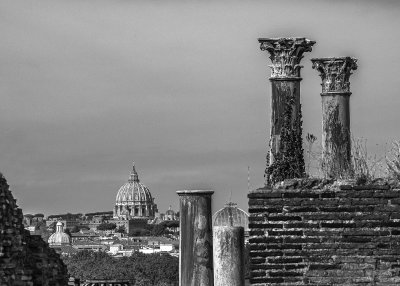 20191013_8840_bw copy.jpg