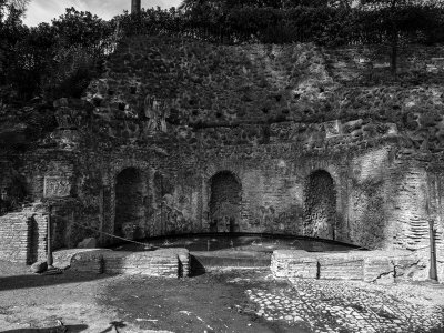 20191013_8895_bw copy.jpg