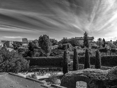 20191013_8905_bw copy.jpg
