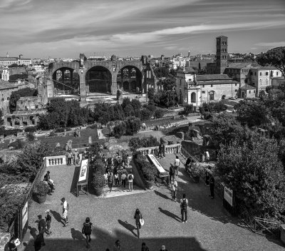 20191013_8939_bw copy.jpg