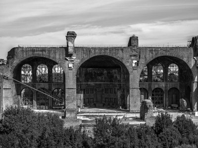 20191013_8964_bw copy.jpg