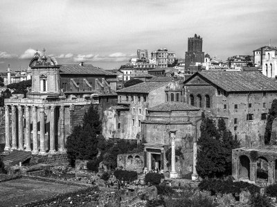 20191013_9009_bw copy.jpg