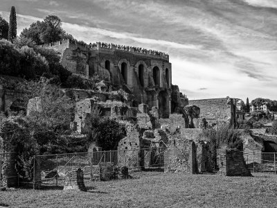 20191013_9075_bw copy.jpg