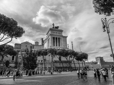 20191013_9154_bw copy.jpg